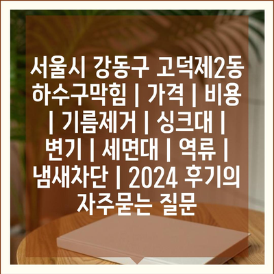 서울시 강동구 고덕제2동 하수구막힘 | 가격 | 비용 | 기름제거 | 싱크대 | 변기 | 세면대 | 역류 | 냄새차단 | 2024 후기