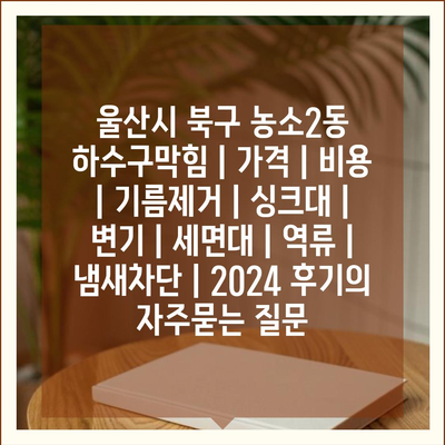 울산시 북구 농소2동 하수구막힘 | 가격 | 비용 | 기름제거 | 싱크대 | 변기 | 세면대 | 역류 | 냄새차단 | 2024 후기