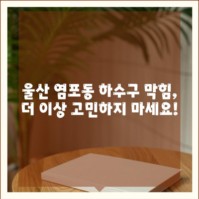 울산시 북구 염포동 하수구막힘 | 가격 | 비용 | 기름제거 | 싱크대 | 변기 | 세면대 | 역류 | 냄새차단 | 2024 후기