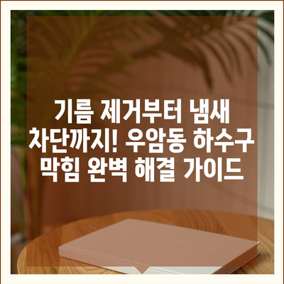 충청북도 청주시 청원구 우암동 하수구막힘 | 가격 | 비용 | 기름제거 | 싱크대 | 변기 | 세면대 | 역류 | 냄새차단 | 2024 후기