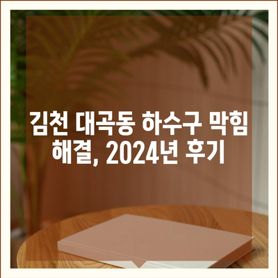 경상북도 김천시 대곡동 하수구막힘 | 가격 | 비용 | 기름제거 | 싱크대 | 변기 | 세면대 | 역류 | 냄새차단 | 2024 후기