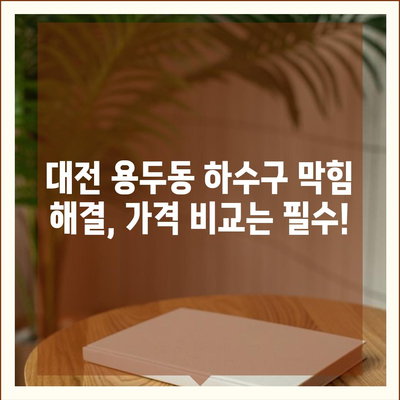 대전시 중구 용두동 하수구막힘 | 가격 | 비용 | 기름제거 | 싱크대 | 변기 | 세면대 | 역류 | 냄새차단 | 2024 후기