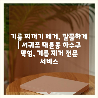 제주도 서귀포시 대륜동 하수구막힘 | 가격 | 비용 | 기름제거 | 싱크대 | 변기 | 세면대 | 역류 | 냄새차단 | 2024 후기