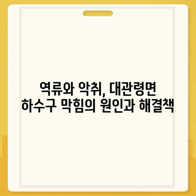 강원도 평창군 대관령면 하수구막힘 | 가격 | 비용 | 기름제거 | 싱크대 | 변기 | 세면대 | 역류 | 냄새차단 | 2024 후기