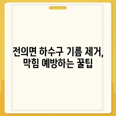 세종시 세종특별자치시 전의면 하수구막힘 | 가격 | 비용 | 기름제거 | 싱크대 | 변기 | 세면대 | 역류 | 냄새차단 | 2024 후기