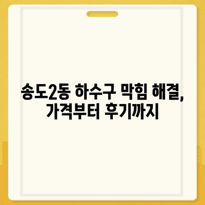 인천시 연수구 송도2동 하수구막힘 | 가격 | 비용 | 기름제거 | 싱크대 | 변기 | 세면대 | 역류 | 냄새차단 | 2024 후기