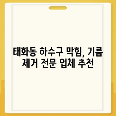 울산시 중구 태화동 하수구막힘 | 가격 | 비용 | 기름제거 | 싱크대 | 변기 | 세면대 | 역류 | 냄새차단 | 2024 후기