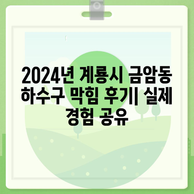 충청남도 계룡시 금암동 하수구막힘 | 가격 | 비용 | 기름제거 | 싱크대 | 변기 | 세면대 | 역류 | 냄새차단 | 2024 후기