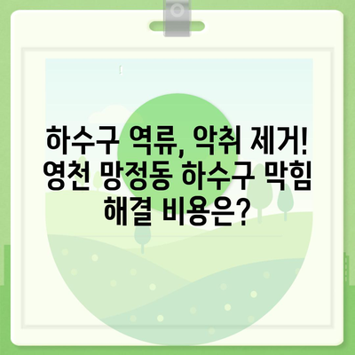 경상북도 영천시 망정동 하수구막힘 | 가격 | 비용 | 기름제거 | 싱크대 | 변기 | 세면대 | 역류 | 냄새차단 | 2024 후기