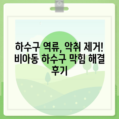 광주시 광산구 비아동 하수구막힘 | 가격 | 비용 | 기름제거 | 싱크대 | 변기 | 세면대 | 역류 | 냄새차단 | 2024 후기