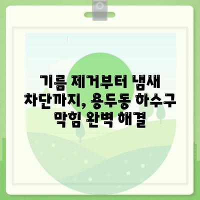 충청북도 제천시 용두동 하수구막힘 | 가격 | 비용 | 기름제거 | 싱크대 | 변기 | 세면대 | 역류 | 냄새차단 | 2024 후기