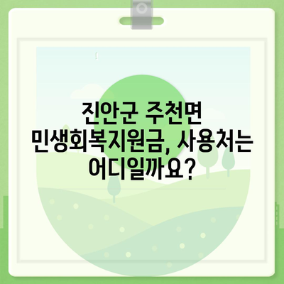 전라북도 진안군 주천면 민생회복지원금 | 신청 | 신청방법 | 대상 | 지급일 | 사용처 | 전국민 | 이재명 | 2024