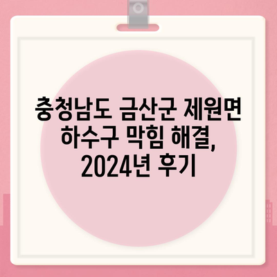 충청남도 금산군 제원면 하수구막힘 | 가격 | 비용 | 기름제거 | 싱크대 | 변기 | 세면대 | 역류 | 냄새차단 | 2024 후기