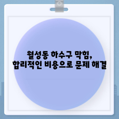 경상북도 경주시 월성동 하수구막힘 | 가격 | 비용 | 기름제거 | 싱크대 | 변기 | 세면대 | 역류 | 냄새차단 | 2024 후기