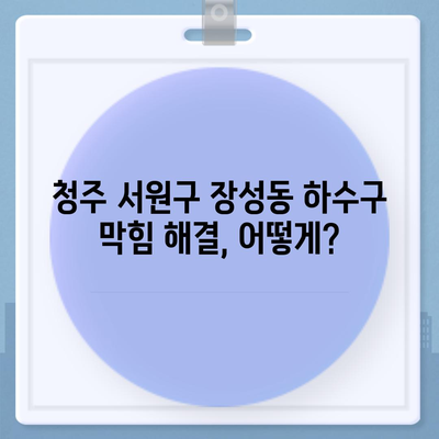 충청북도 청주시 서원구 장성동 하수구막힘 | 가격 | 비용 | 기름제거 | 싱크대 | 변기 | 세면대 | 역류 | 냄새차단 | 2024 후기