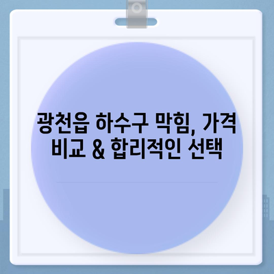 충청남도 홍성군 광천읍 하수구막힘 | 가격 | 비용 | 기름제거 | 싱크대 | 변기 | 세면대 | 역류 | 냄새차단 | 2024 후기