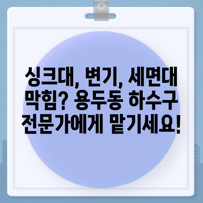 대전시 중구 용두동 하수구막힘 | 가격 | 비용 | 기름제거 | 싱크대 | 변기 | 세면대 | 역류 | 냄새차단 | 2024 후기