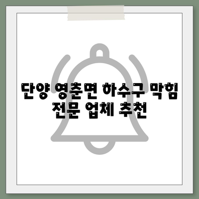 충청북도 단양군 영춘면 하수구막힘 | 가격 | 비용 | 기름제거 | 싱크대 | 변기 | 세면대 | 역류 | 냄새차단 | 2024 후기