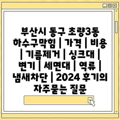 부산시 동구 초량3동 하수구막힘 | 가격 | 비용 | 기름제거 | 싱크대 | 변기 | 세면대 | 역류 | 냄새차단 | 2024 후기