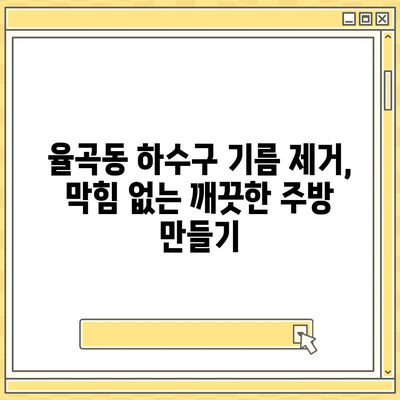 경상북도 김천시 율곡동 하수구막힘 | 가격 | 비용 | 기름제거 | 싱크대 | 변기 | 세면대 | 역류 | 냄새차단 | 2024 후기