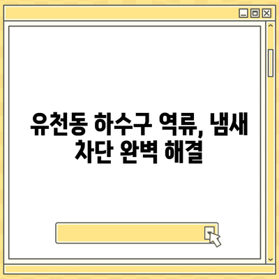 대구시 달서구 유천동 하수구막힘 | 가격 | 비용 | 기름제거 | 싱크대 | 변기 | 세면대 | 역류 | 냄새차단 | 2024 후기