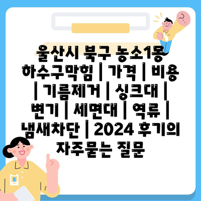 울산시 북구 농소1동 하수구막힘 | 가격 | 비용 | 기름제거 | 싱크대 | 변기 | 세면대 | 역류 | 냄새차단 | 2024 후기