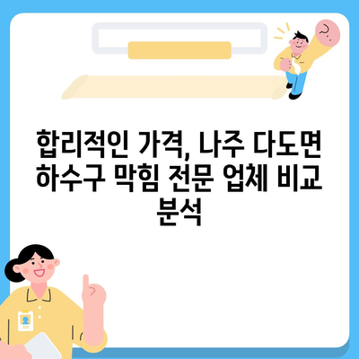 전라남도 나주시 다도면 하수구막힘 | 가격 | 비용 | 기름제거 | 싱크대 | 변기 | 세면대 | 역류 | 냄새차단 | 2024 후기