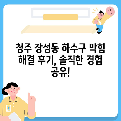 충청북도 청주시 서원구 장성동 하수구막힘 | 가격 | 비용 | 기름제거 | 싱크대 | 변기 | 세면대 | 역류 | 냄새차단 | 2024 후기