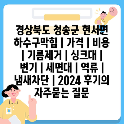 경상북도 청송군 현서면 하수구막힘 | 가격 | 비용 | 기름제거 | 싱크대 | 변기 | 세면대 | 역류 | 냄새차단 | 2024 후기