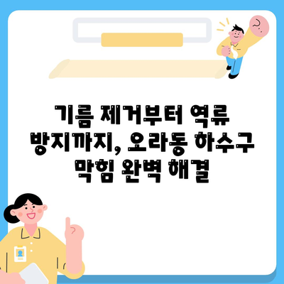 제주도 제주시 오라동 하수구막힘 | 가격 | 비용 | 기름제거 | 싱크대 | 변기 | 세면대 | 역류 | 냄새차단 | 2024 후기