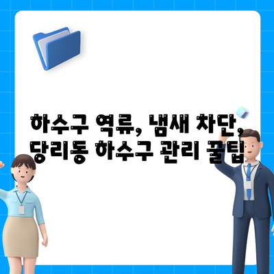 부산시 사하구 당리동 하수구막힘 | 가격 | 비용 | 기름제거 | 싱크대 | 변기 | 세면대 | 역류 | 냄새차단 | 2024 후기