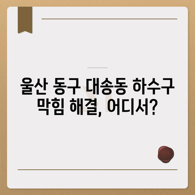 울산시 동구 대송동 하수구막힘 | 가격 | 비용 | 기름제거 | 싱크대 | 변기 | 세면대 | 역류 | 냄새차단 | 2024 후기