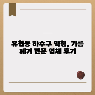 대구시 달서구 유천동 하수구막힘 | 가격 | 비용 | 기름제거 | 싱크대 | 변기 | 세면대 | 역류 | 냄새차단 | 2024 후기