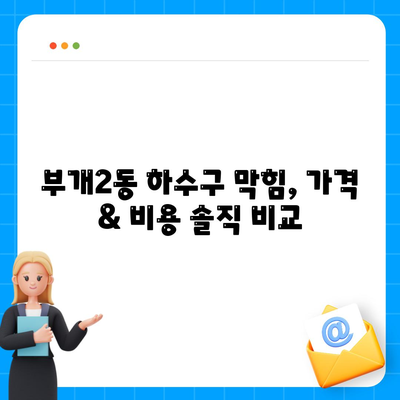 인천시 부평구 부개2동 하수구막힘 | 가격 | 비용 | 기름제거 | 싱크대 | 변기 | 세면대 | 역류 | 냄새차단 | 2024 후기