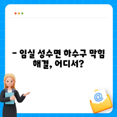 전라북도 임실군 성수면 하수구막힘 | 가격 | 비용 | 기름제거 | 싱크대 | 변기 | 세면대 | 역류 | 냄새차단 | 2024 후기