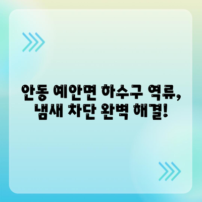 경상북도 안동시 예안면 하수구막힘 | 가격 | 비용 | 기름제거 | 싱크대 | 변기 | 세면대 | 역류 | 냄새차단 | 2024 후기