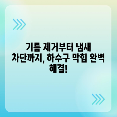 대전시 대덕구 회덕동 하수구막힘 | 가격 | 비용 | 기름제거 | 싱크대 | 변기 | 세면대 | 역류 | 냄새차단 | 2024 후기