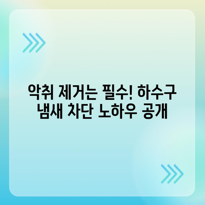 제주도 제주시 노형동 하수구막힘 | 가격 | 비용 | 기름제거 | 싱크대 | 변기 | 세면대 | 역류 | 냄새차단 | 2024 후기