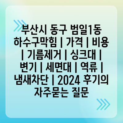 부산시 동구 범일1동 하수구막힘 | 가격 | 비용 | 기름제거 | 싱크대 | 변기 | 세면대 | 역류 | 냄새차단 | 2024 후기