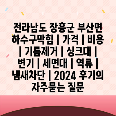 전라남도 장흥군 부산면 하수구막힘 | 가격 | 비용 | 기름제거 | 싱크대 | 변기 | 세면대 | 역류 | 냄새차단 | 2024 후기