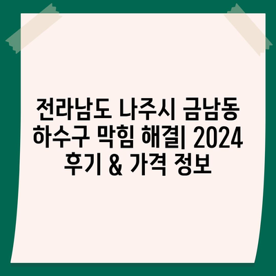 전라남도 나주시 금남동 하수구막힘 | 가격 | 비용 | 기름제거 | 싱크대 | 변기 | 세면대 | 역류 | 냄새차단 | 2024 후기