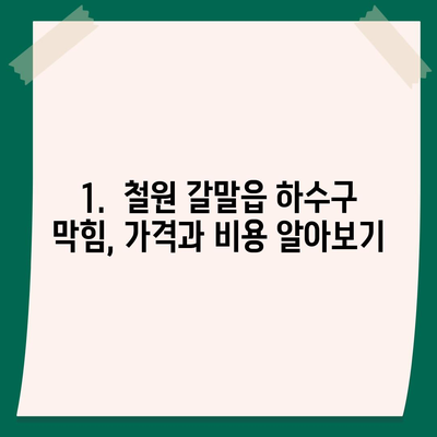 강원도 철원군 갈말읍 하수구막힘 | 가격 | 비용 | 기름제거 | 싱크대 | 변기 | 세면대 | 역류 | 냄새차단 | 2024 후기