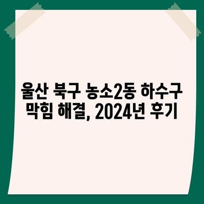 울산시 북구 농소2동 하수구막힘 | 가격 | 비용 | 기름제거 | 싱크대 | 변기 | 세면대 | 역류 | 냄새차단 | 2024 후기