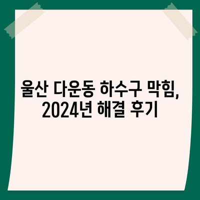 울산시 중구 다운동 하수구막힘 | 가격 | 비용 | 기름제거 | 싱크대 | 변기 | 세면대 | 역류 | 냄새차단 | 2024 후기