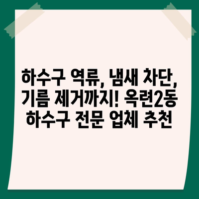 인천시 연수구 옥련2동 하수구막힘 | 가격 | 비용 | 기름제거 | 싱크대 | 변기 | 세면대 | 역류 | 냄새차단 | 2024 후기