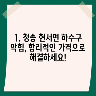 경상북도 청송군 현서면 하수구막힘 | 가격 | 비용 | 기름제거 | 싱크대 | 변기 | 세면대 | 역류 | 냄새차단 | 2024 후기