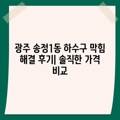 광주시 광산구 송정1동 하수구막힘 | 가격 | 비용 | 기름제거 | 싱크대 | 변기 | 세면대 | 역류 | 냄새차단 | 2024 후기