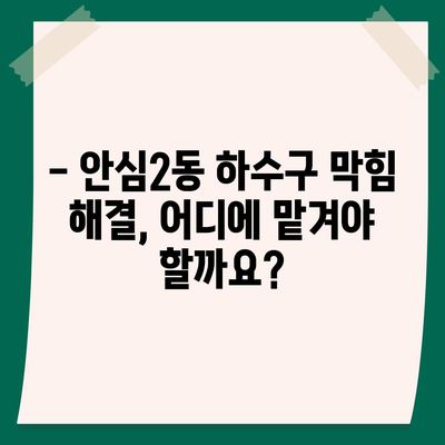 대구시 동구 안심2동 하수구막힘 | 가격 | 비용 | 기름제거 | 싱크대 | 변기 | 세면대 | 역류 | 냄새차단 | 2024 후기