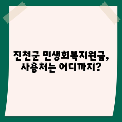 충청북도 진천군 광혜원면 민생회복지원금 | 신청 | 신청방법 | 대상 | 지급일 | 사용처 | 전국민 | 이재명 | 2024