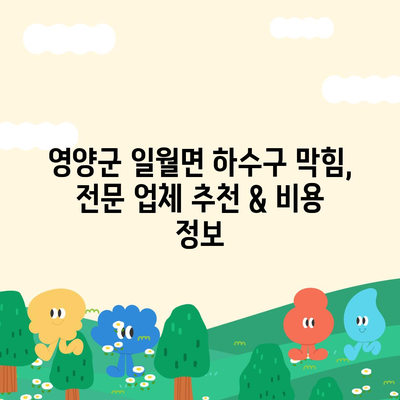 경상북도 영양군 일월면 하수구막힘 | 가격 | 비용 | 기름제거 | 싱크대 | 변기 | 세면대 | 역류 | 냄새차단 | 2024 후기